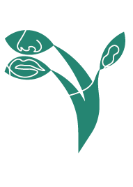 Dra Carla Camargo Otorrinolaringologia e Cirurgia Facial
